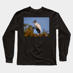 Speaking Stork Long Sleeve T-Shirt